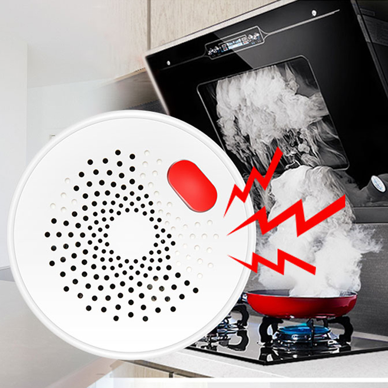 Tuya Smart Home Wifi Natural G – Home Security Gadgets recenzja i cena